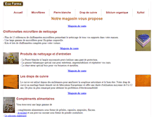 Tablet Screenshot of ecoforme.com
